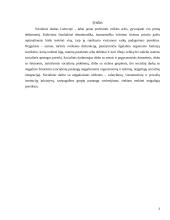 Socialinio darbuotojo veikla dirbant su šeimomis turinčiomis neįgalų vaiką 3 puslapis