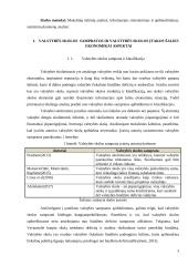 Valstybės skolos įtaka Lietuvos ekonomikai 3 puslapis