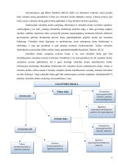 Valstybės skolos įtaka Lietuvos ekonomikai 4 puslapis