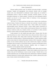 Valstybės skolos įtaka Lietuvos ekonomikai 5 puslapis