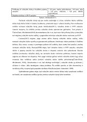 Valstybės skolos įtaka Lietuvos ekonomikai 9 puslapis