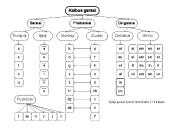 Fonetikos kartojimas 2 puslapis