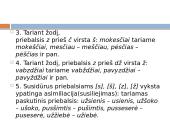Fonetikos kartojimas 4 puslapis