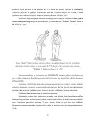 Parkinsono liga sergančių asmenų adaptacijos ypatumai socialinės globos namuose 15 puslapis