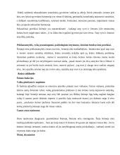 Šeimos atvejo aprašymas 2 puslapis