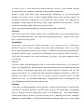 Šeimos atvejo aprašymas 3 puslapis