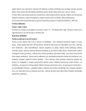 Šeimos atvejo aprašymas 4 puslapis