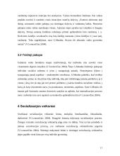 Socializacijos samprata 11 puslapis