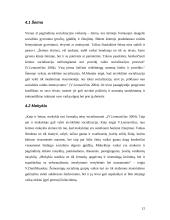 Socializacijos samprata 12 puslapis