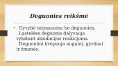 Deguonis bei ozonas 4 puslapis