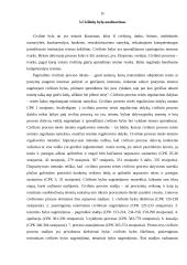 Tauragės apylinkės teismo Šilalės rūmai (mokomoji praktika) 15 puslapis