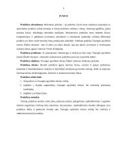 Tauragės apylinkės teismo Šilalės rūmai (mokomoji praktika) 3 puslapis