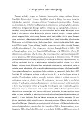 Tauragės apylinkės teismo Šilalės rūmai (mokomoji praktika) 4 puslapis