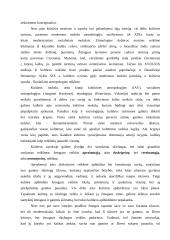 Sociologinė kultūros samprata 2 puslapis