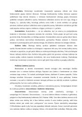 Sociologinė kultūros samprata 11 puslapis