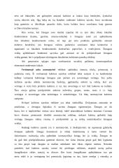 Sociologinė kultūros samprata 3 puslapis