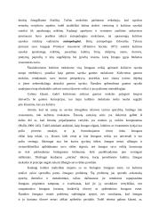 Sociologinė kultūros samprata 4 puslapis