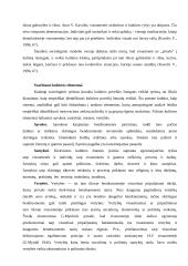 Sociologinė kultūros samprata 7 puslapis