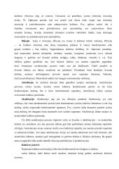 Sociologinė kultūros samprata 10 puslapis