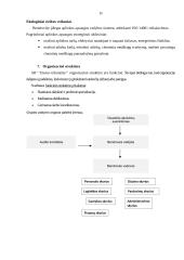 Išsami AB ‘‘Utenos trikotažas‘‘ organizacijos analizė 14 puslapis