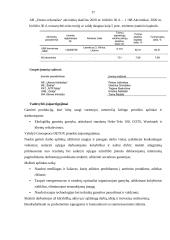 Išsami AB ‘‘Utenos trikotažas‘‘ organizacijos analizė 16 puslapis