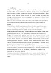 Išsami AB ‘‘Utenos trikotažas‘‘ organizacijos analizė 18 puslapis