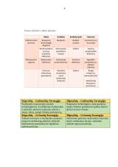 Išsami AB ‘‘Utenos trikotažas‘‘ organizacijos analizė 7 puslapis