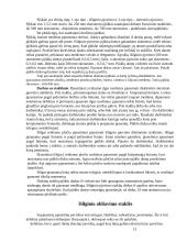 Stalių mokomoji praktika 12 puslapis