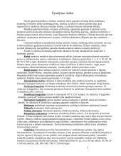 Stalių mokomoji praktika 3 puslapis