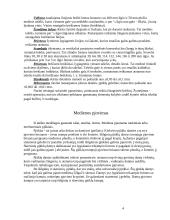 Stalių mokomoji praktika 4 puslapis