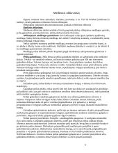 Stalių mokomoji praktika 6 puslapis