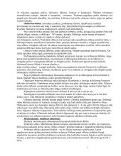 Stalių mokomoji praktika 7 puslapis