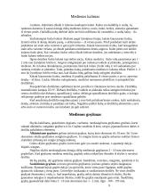 Stalių mokomoji praktika 9 puslapis