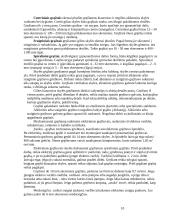 Stalių mokomoji praktika 10 puslapis