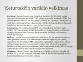 Keturtaktis benzininis vidaus degimo variklis 7 puslapis