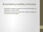 Keturtaktis benzininis vidaus degimo variklis 10 puslapis