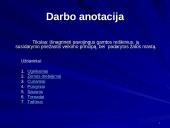 Pavojingi gamtos reiškiniai ir stichinės nelaimės 2 puslapis