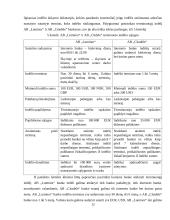 ,,Luminor" ir ,,Citadele" banko indėlių duomenų palyginimas 12 puslapis