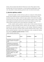 Strateginis auditas: statybos paslaugos ir nekilnojamo turto valdymas UAB "Vėtrūna" 11 puslapis