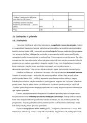 Strateginis auditas: statybos paslaugos ir nekilnojamo turto valdymas UAB "Vėtrūna" 13 puslapis