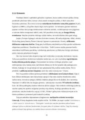 Strateginis auditas: statybos paslaugos ir nekilnojamo turto valdymas UAB "Vėtrūna" 15 puslapis