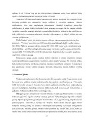 Strateginis auditas: statybos paslaugos ir nekilnojamo turto valdymas UAB "Vėtrūna" 17 puslapis