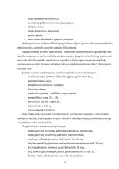 Strateginis auditas: statybos paslaugos ir nekilnojamo turto valdymas UAB "Vėtrūna" 5 puslapis