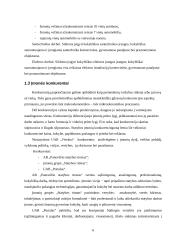 Strateginis auditas: statybos paslaugos ir nekilnojamo turto valdymas UAB "Vėtrūna" 6 puslapis