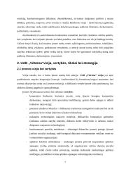 Strateginis auditas: statybos paslaugos ir nekilnojamo turto valdymas UAB "Vėtrūna" 7 puslapis