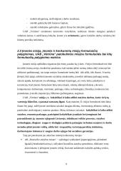 Strateginis auditas: statybos paslaugos ir nekilnojamo turto valdymas UAB "Vėtrūna" 9 puslapis