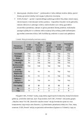 Strateginis auditas: statybos paslaugos ir nekilnojamo turto valdymas UAB "Vėtrūna" 10 puslapis