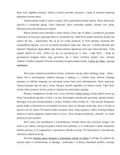 Frydrichas Nyčė ir jo idėjos 11 puslapis