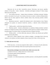 Studentų mokymosi motyvacija 11 puslapis