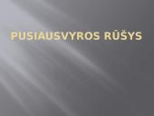 Jėgos momentas ir pusiausvyros rūšys 11 puslapis